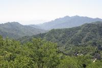 2006_06_3394