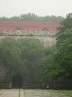 DSCN1802