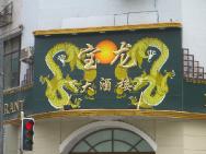 CIMG1136
